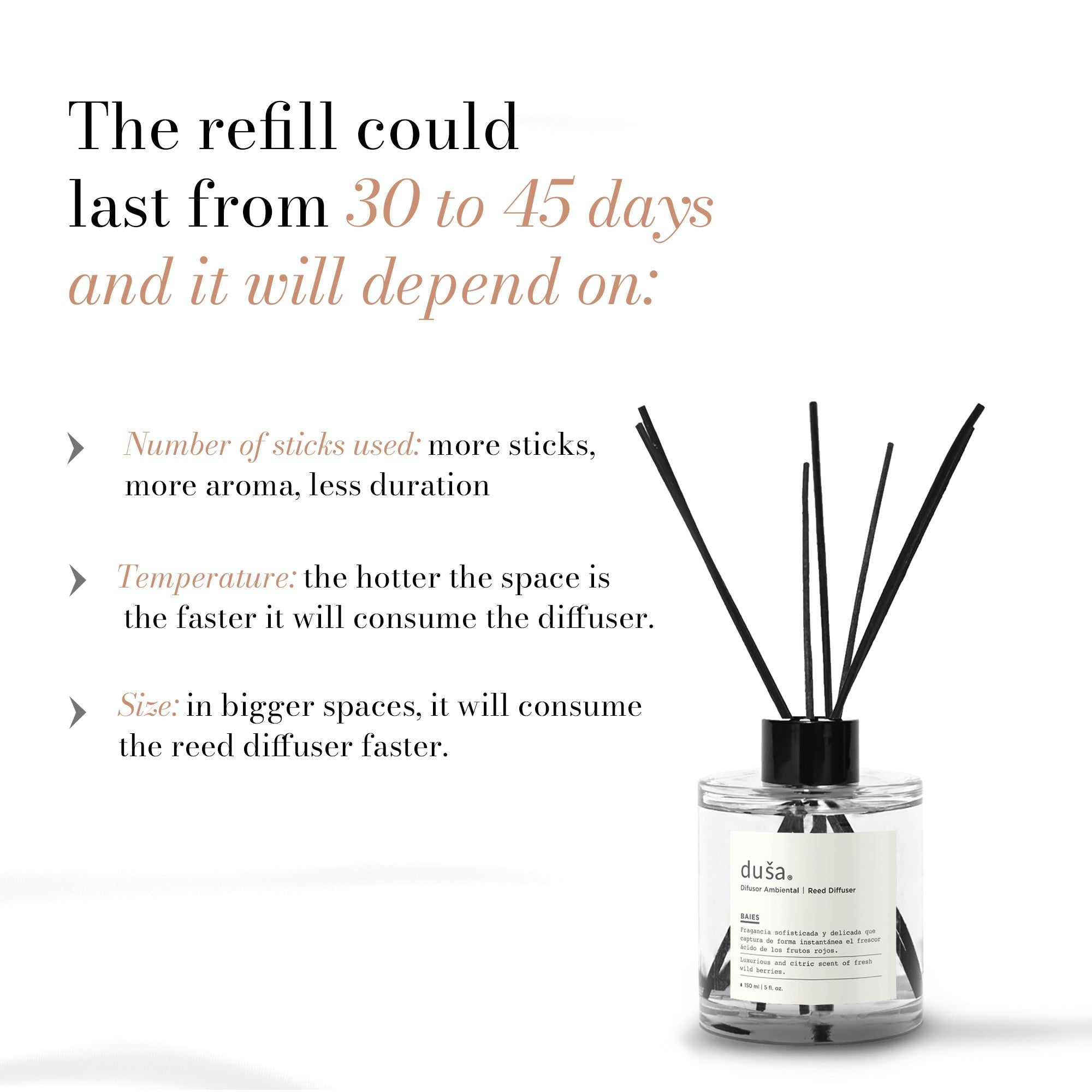 Cedar Bergamot - Reed Diffuser