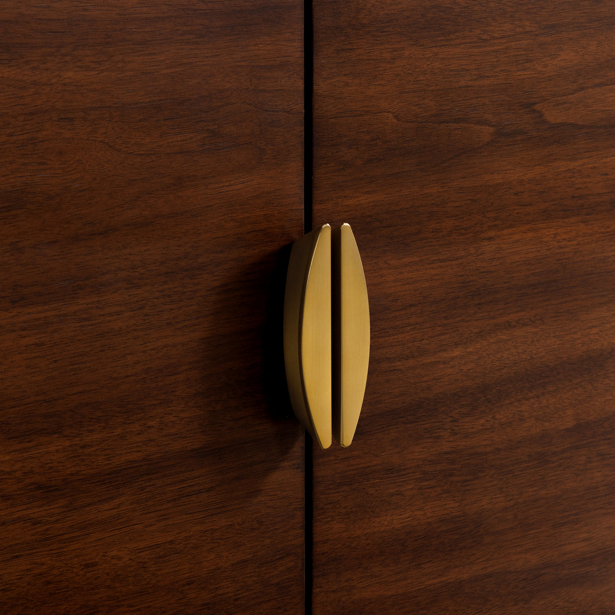 Gold cabinet handle on a wooden door