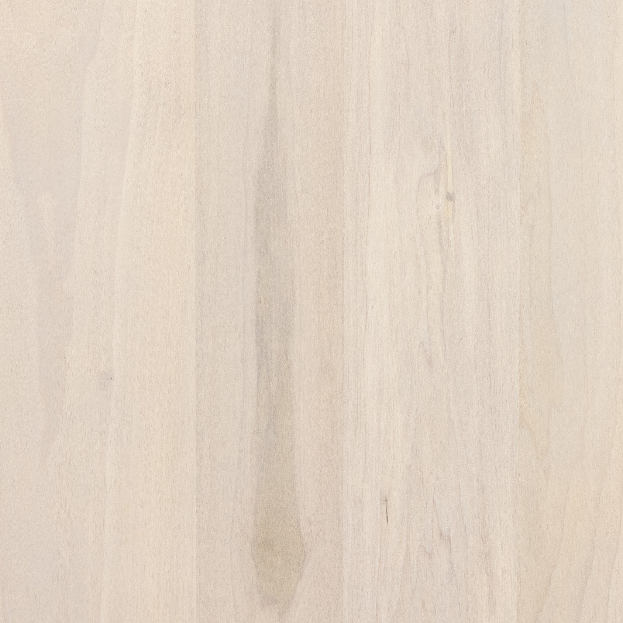 #color_Dove Poplar