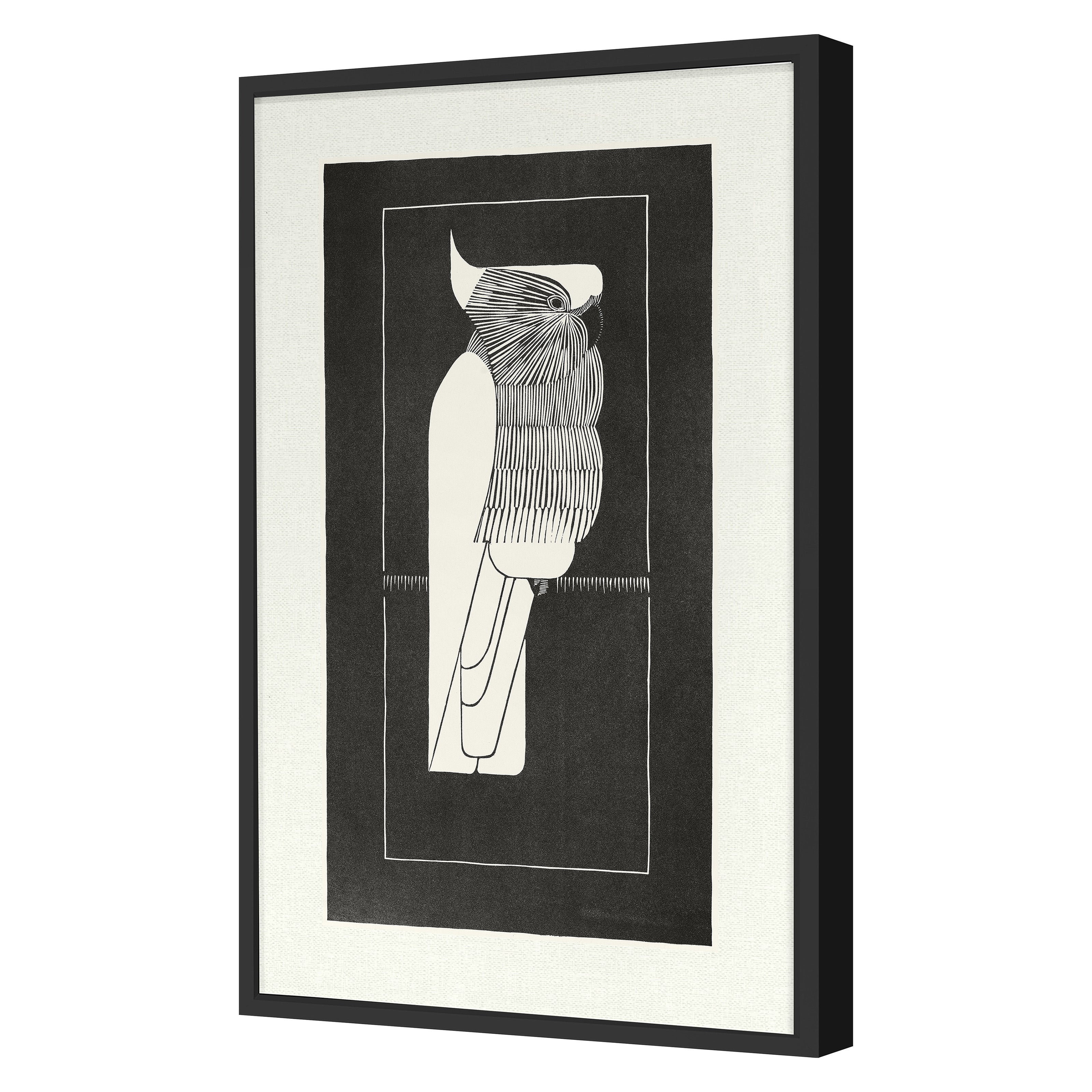Cockatiel