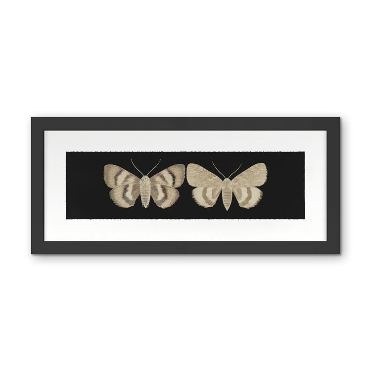 Flutter 10
