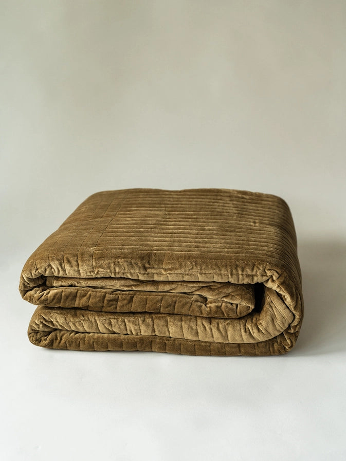 #color_Dark Brown Velvet