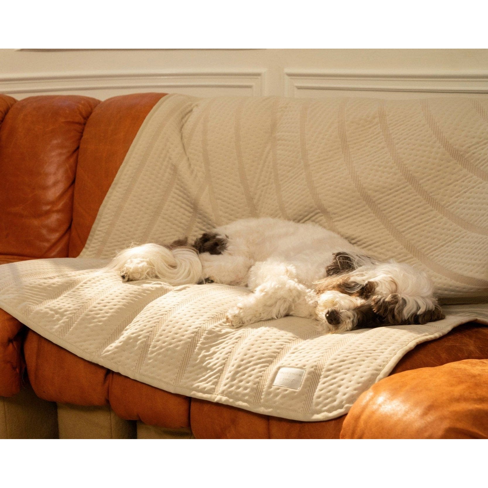 Brigette Romanek Luxury Pet Throw Blanket