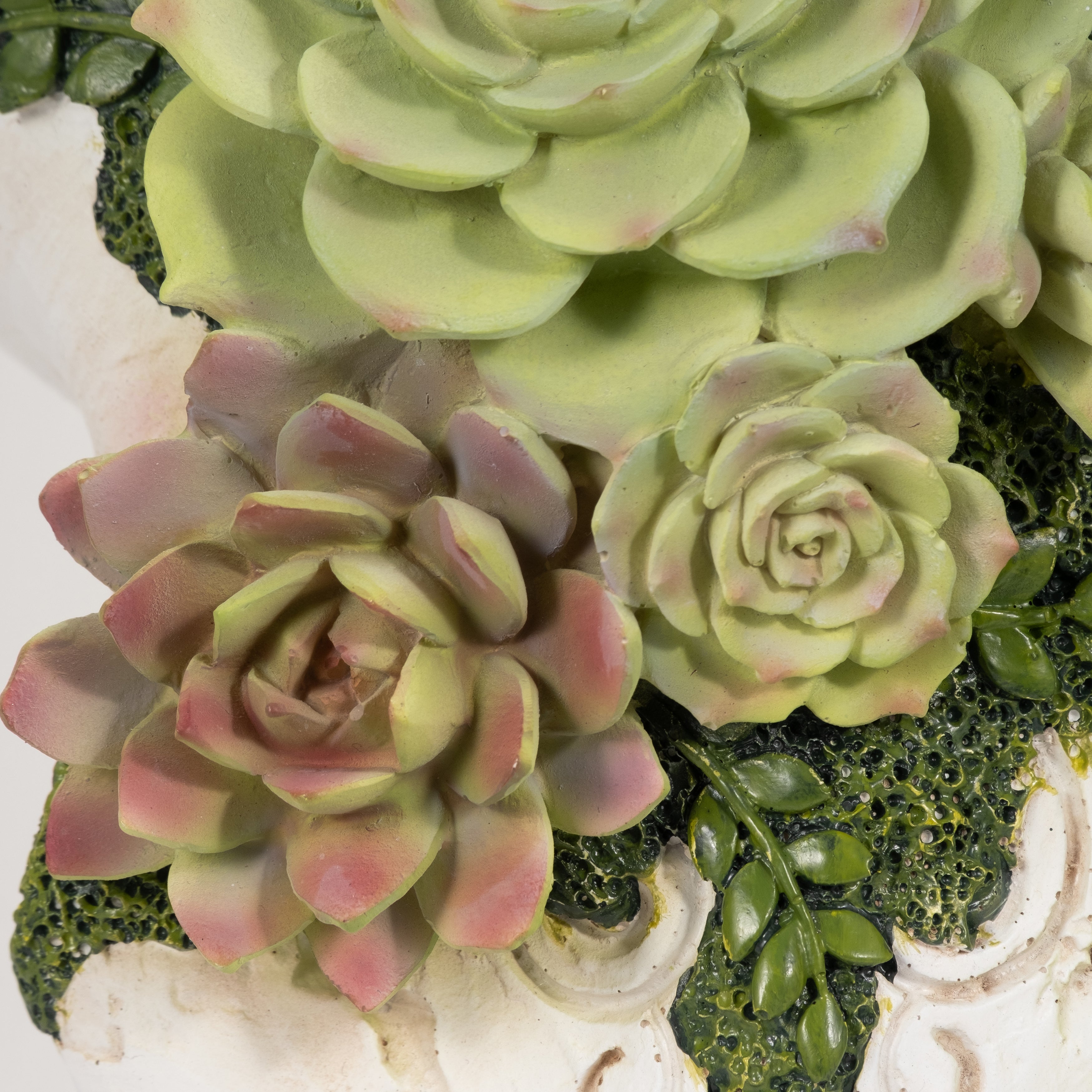 Close-up of green succulents with pinkish hues on a textured surface