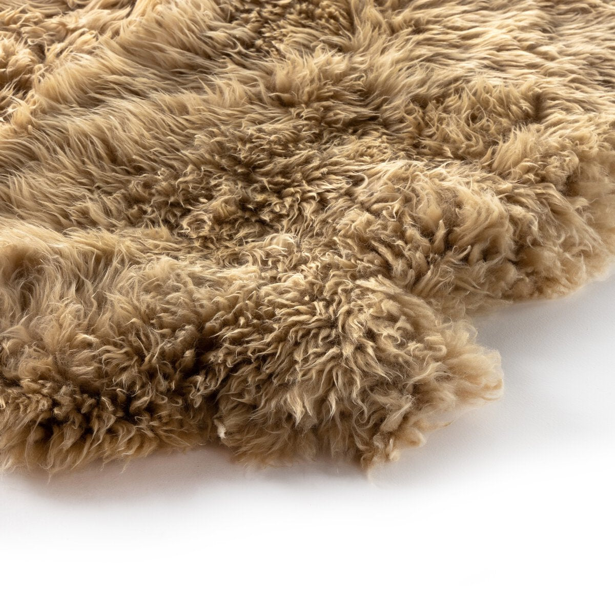 Close-up of a brown, fluffy rug on a white background