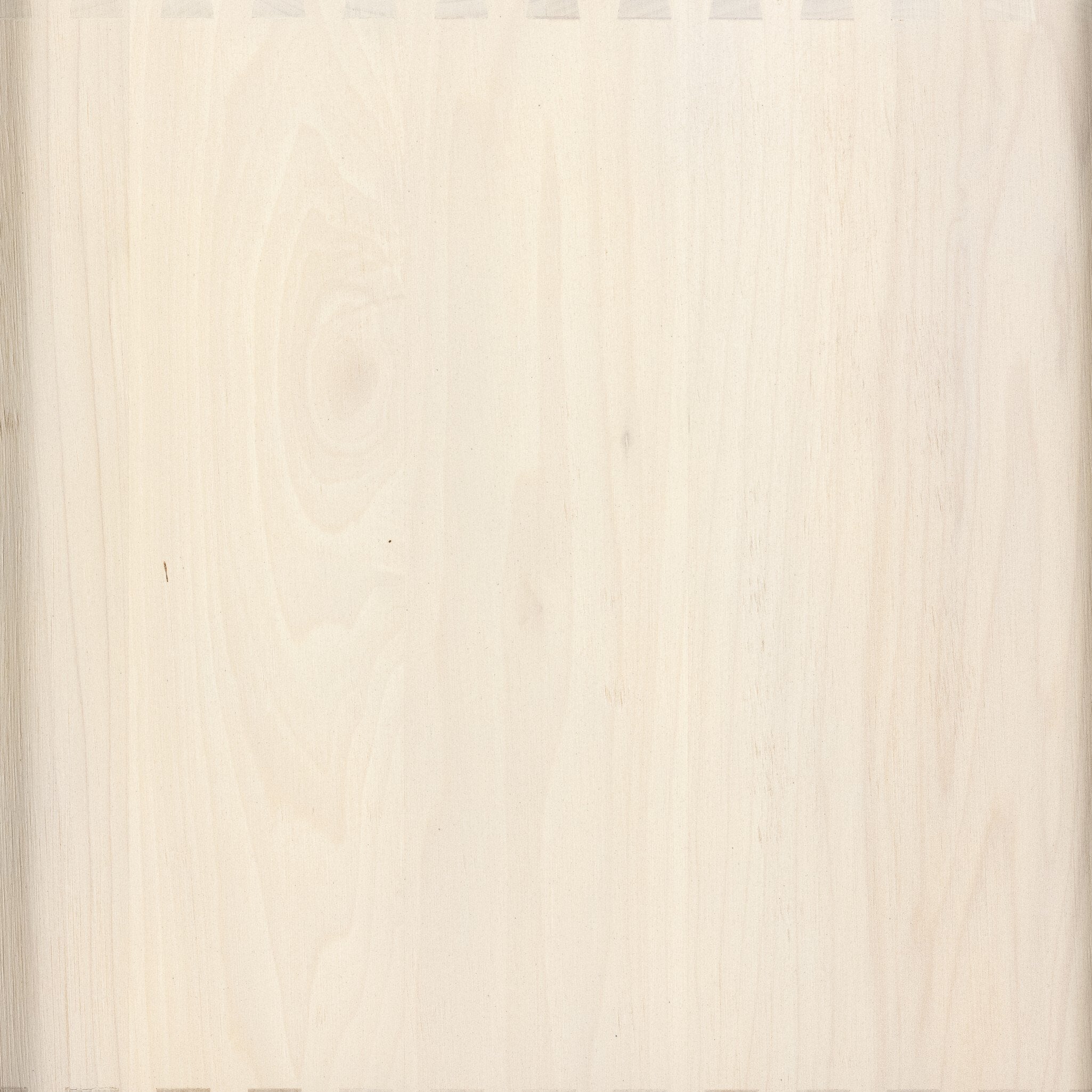 #color_Dove Poplar
