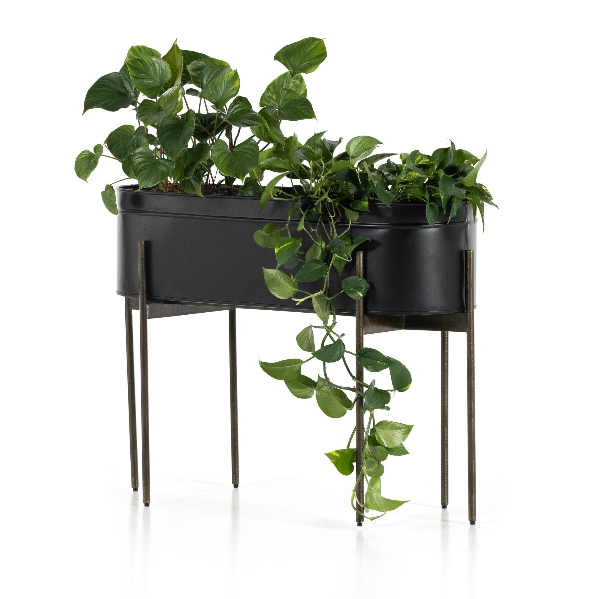 #color_Iron Matte Black