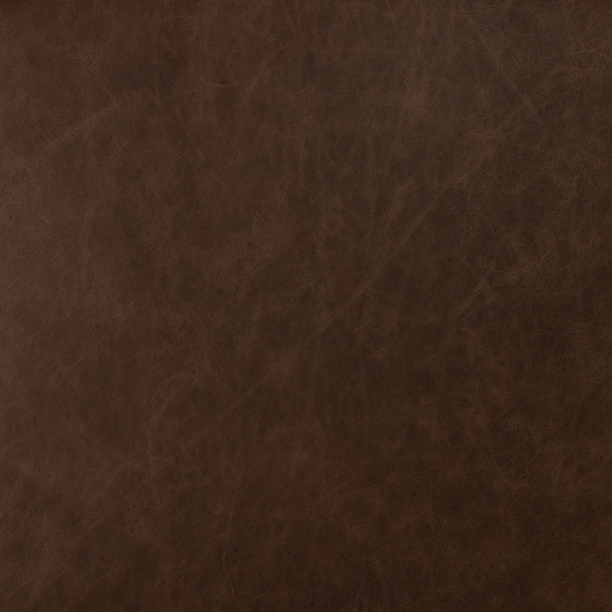 #color_Sonoma Coco