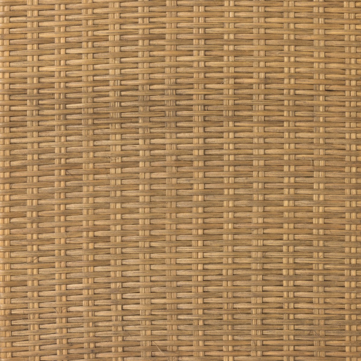 #color_Taupe Mango