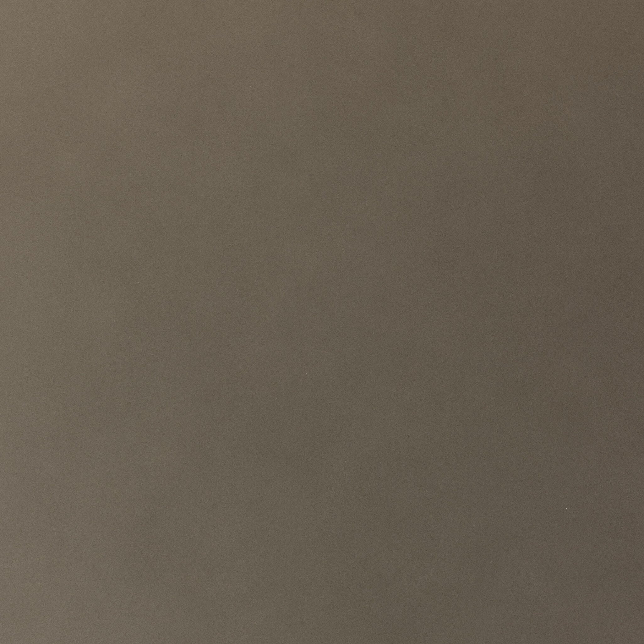 Solid gray brown color swatch