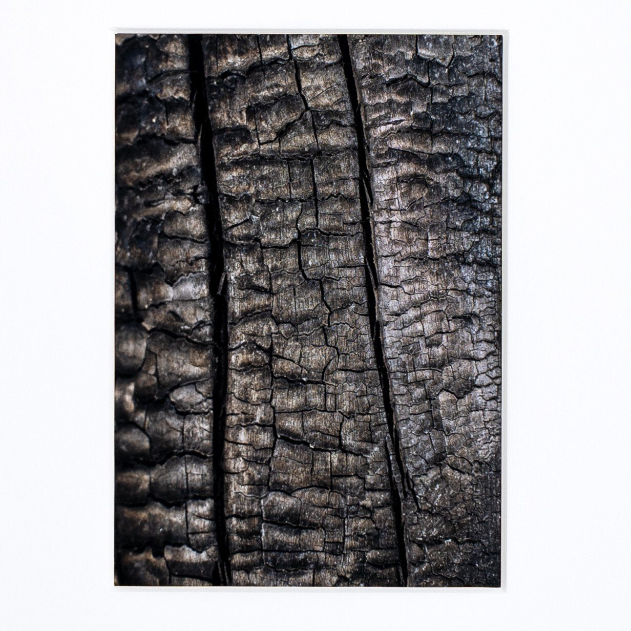 Close-up of textured black and gray surface