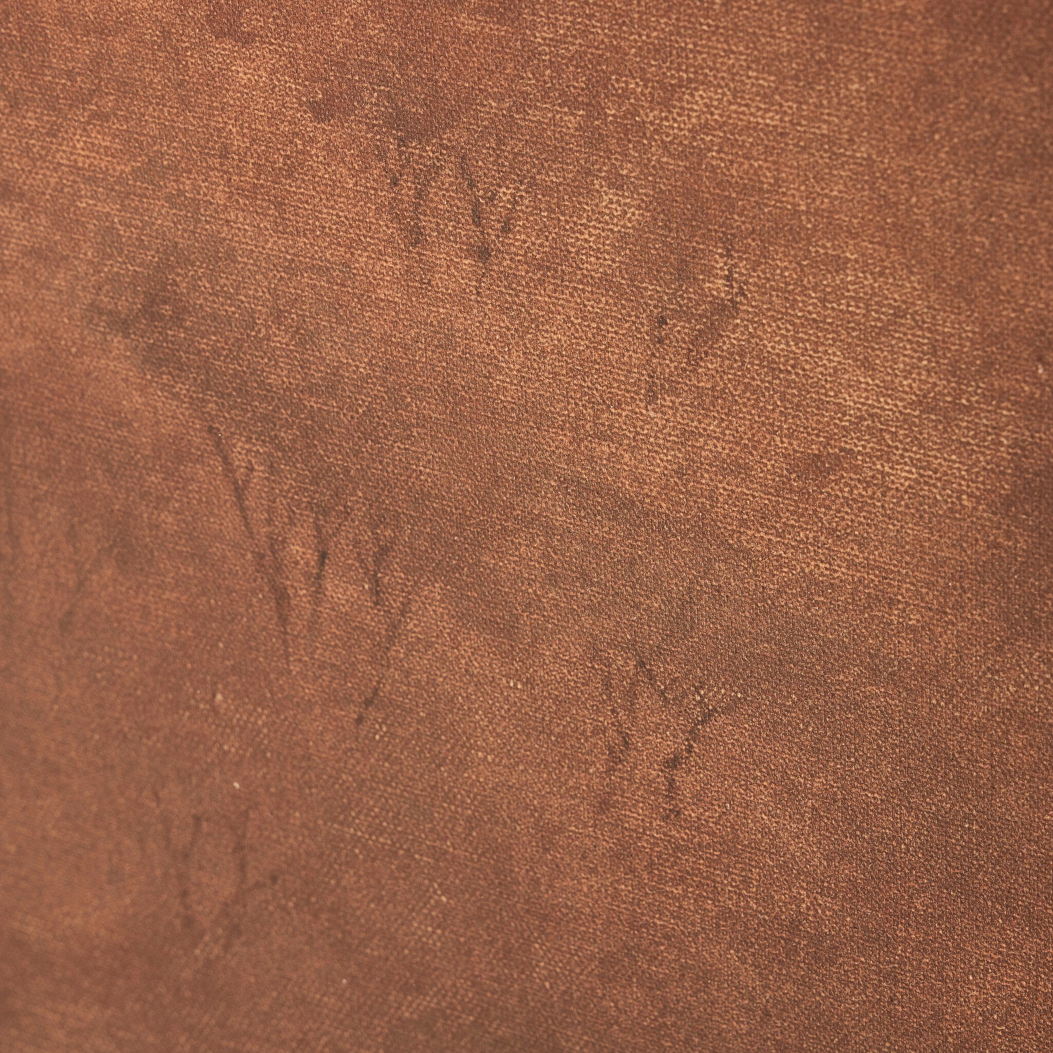 Flesh Of The Earth by Aileen Fitzgerald