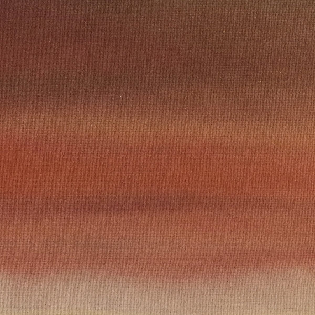 Abstract Ombre 19
