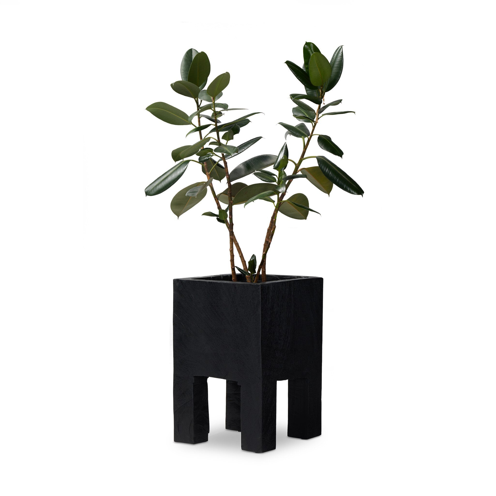 Tora Planter