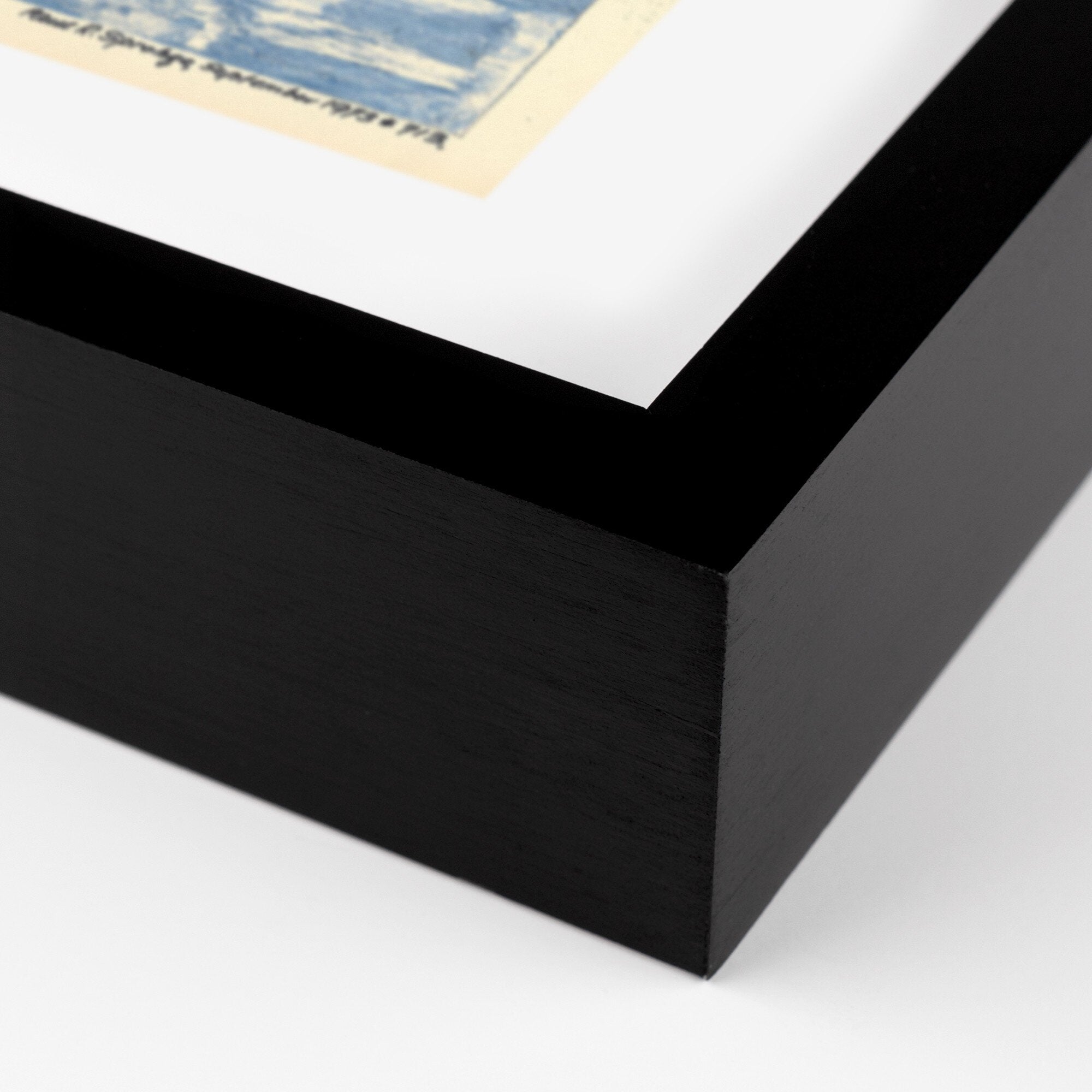 See Gulls by Pepi Sprohge