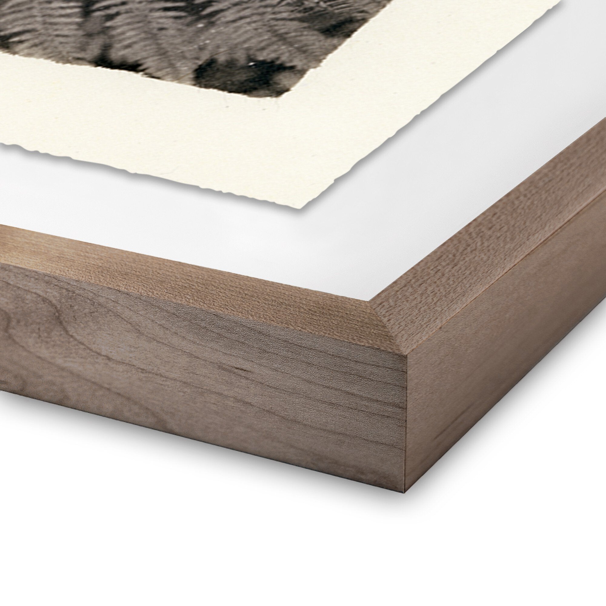 Wooden picture frame corner with white mat and black and white photo inside