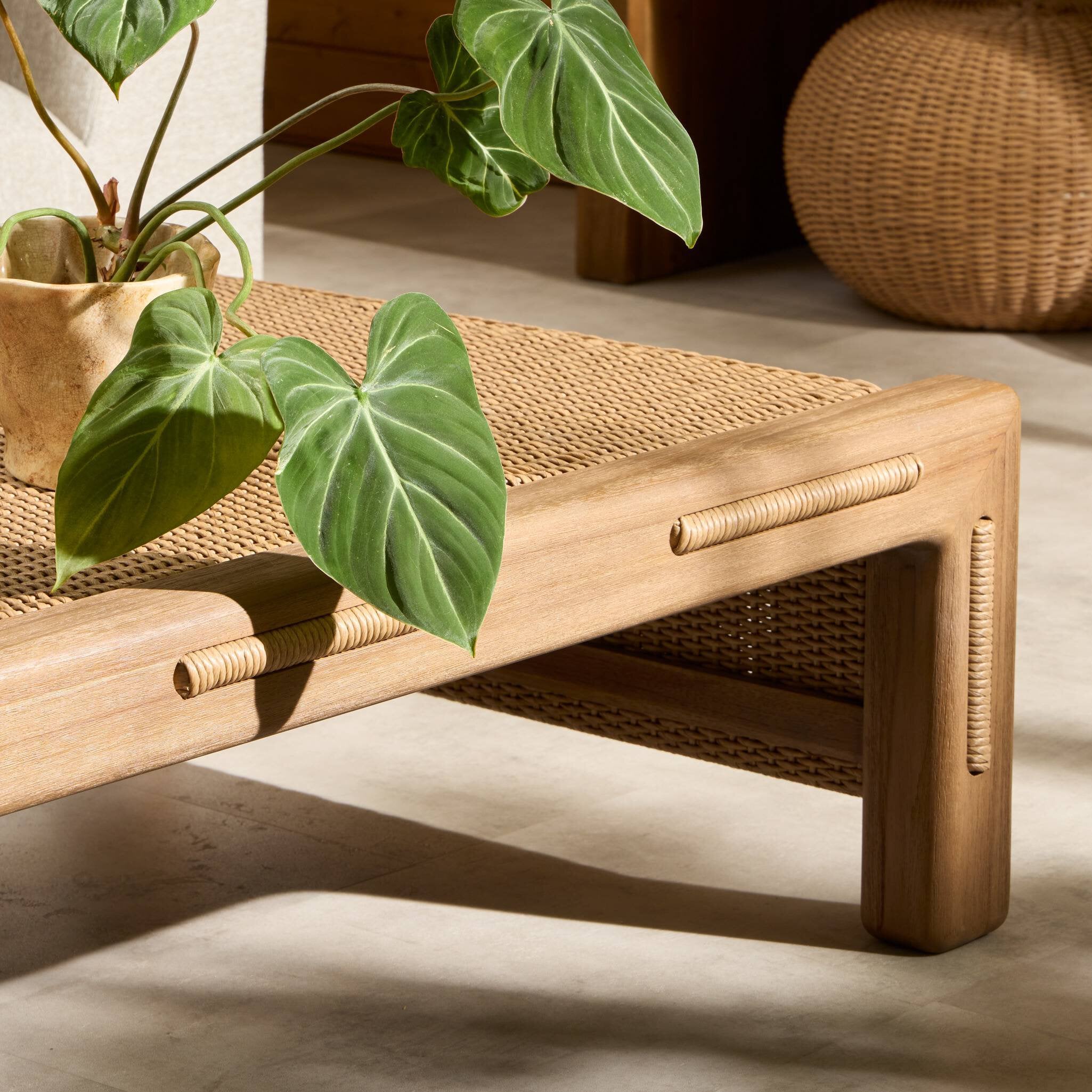 Wooden bench with wicker backrest and green leaves on a neutral background