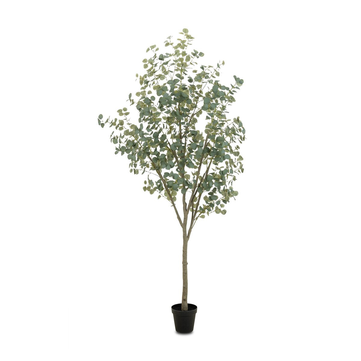 Faux Eucalyptus Tree - 9'