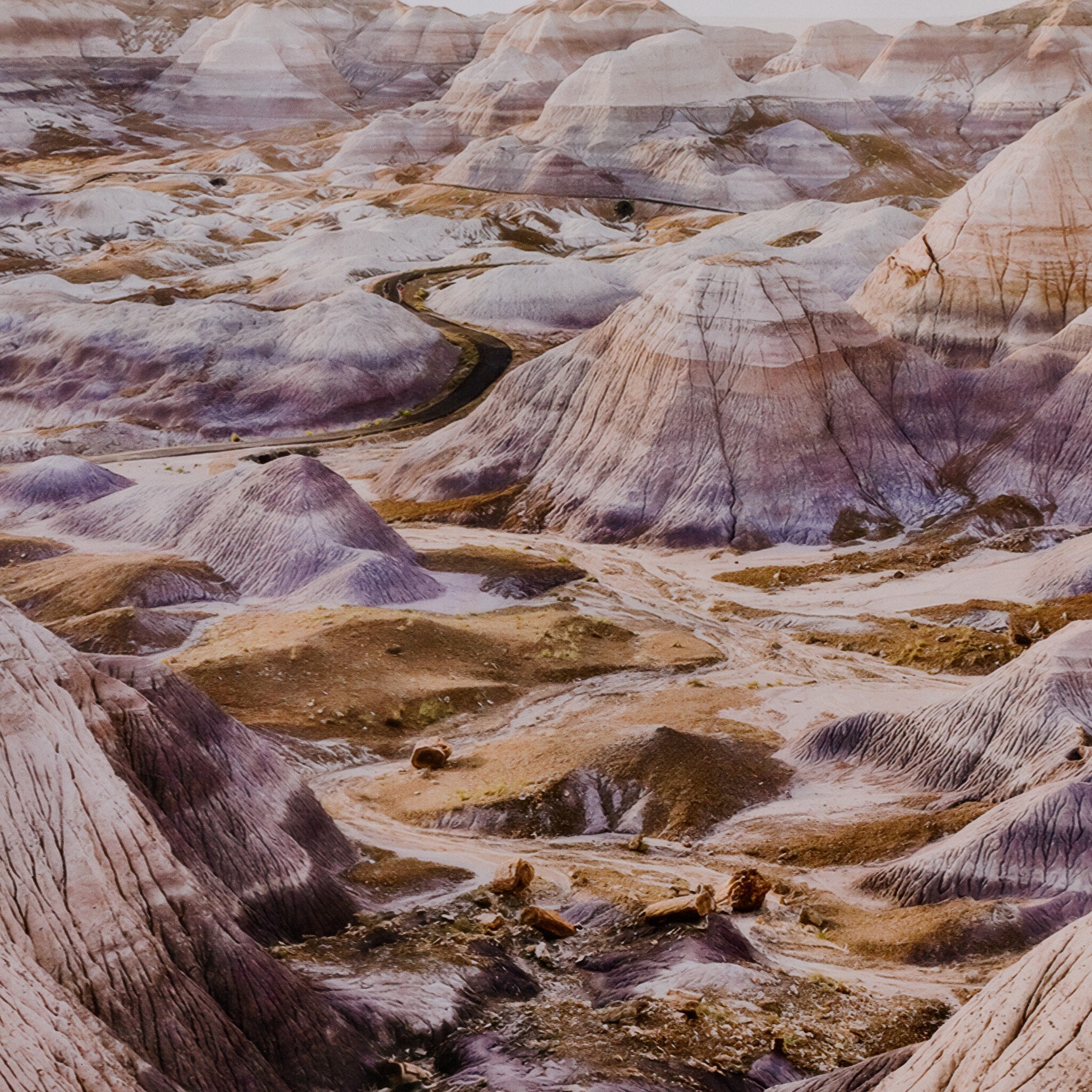 Lavender Haze by Wesley and Emma Teague
