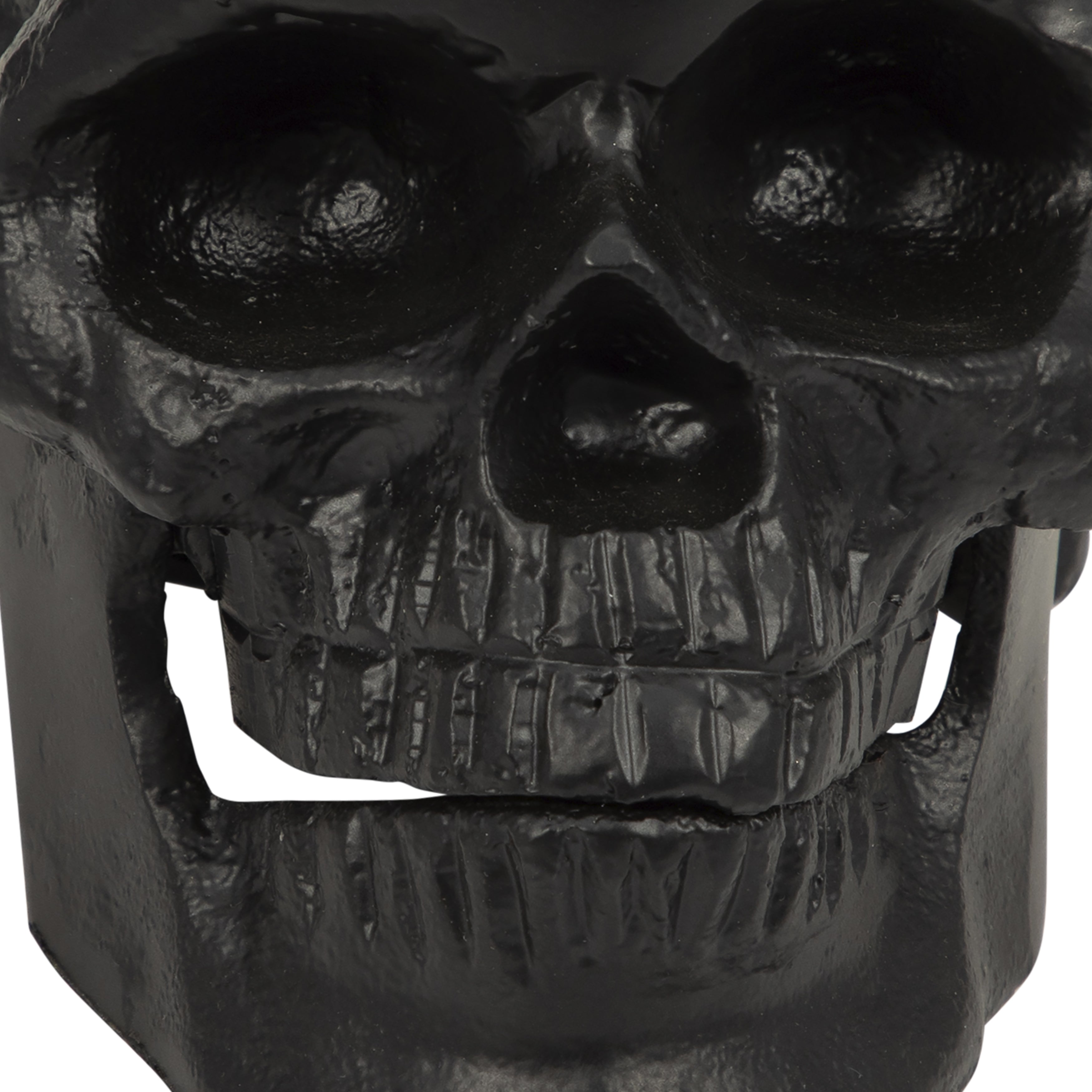 Seloria Skull
