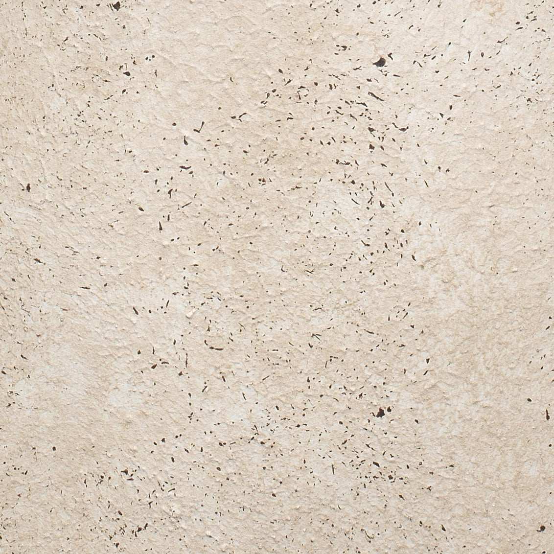 Beige textured surface with small black specks