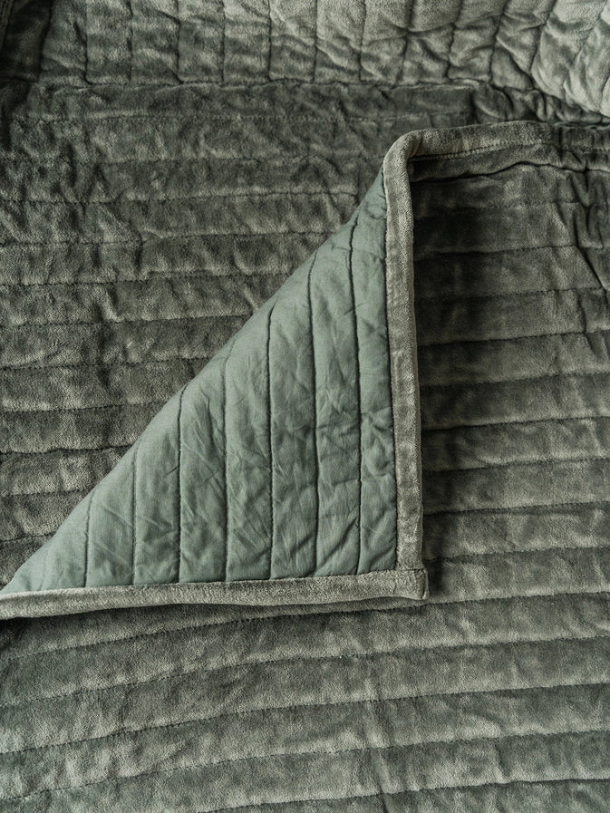 #color_Dark Green Velvet