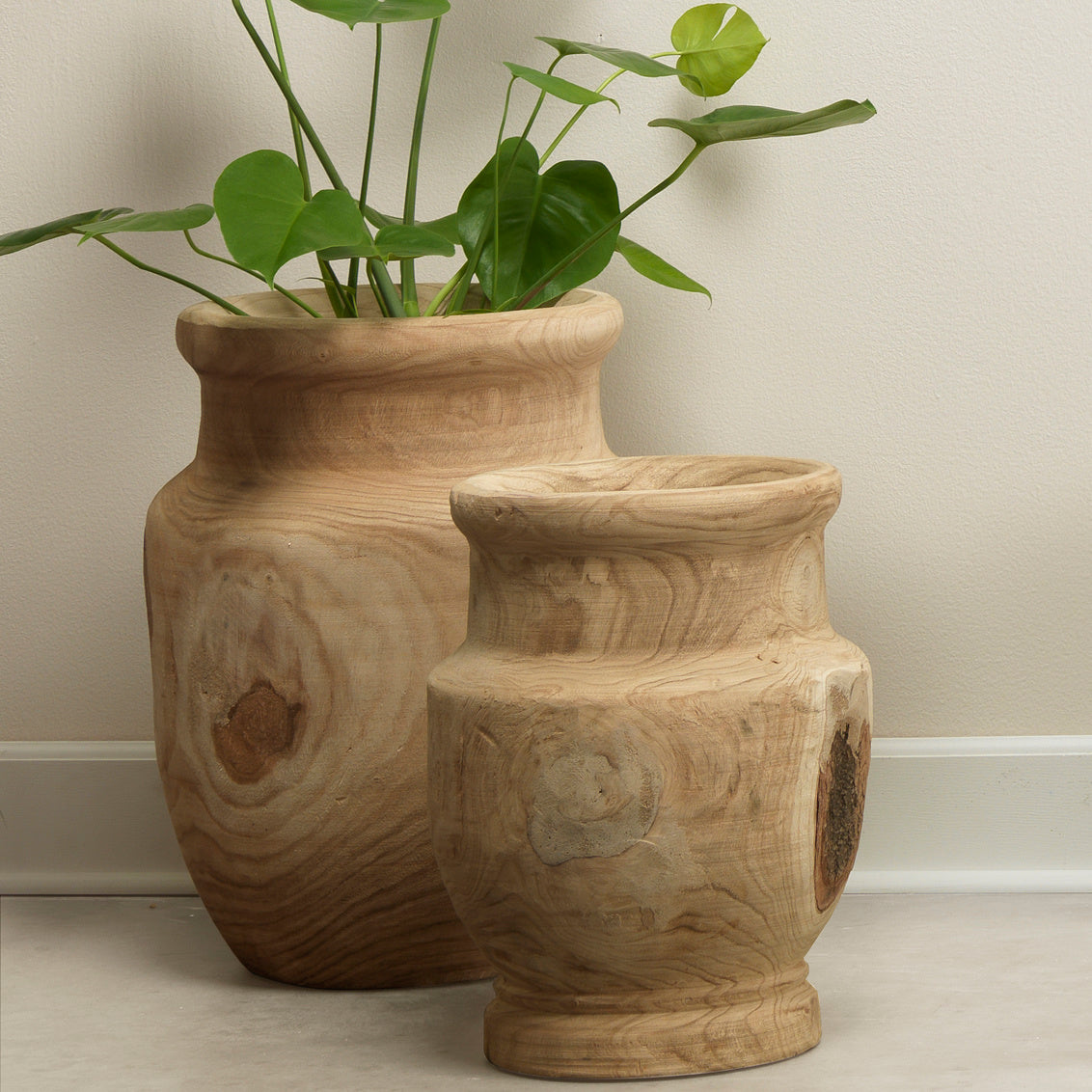 Two wooden vases with a plant on a neutral background