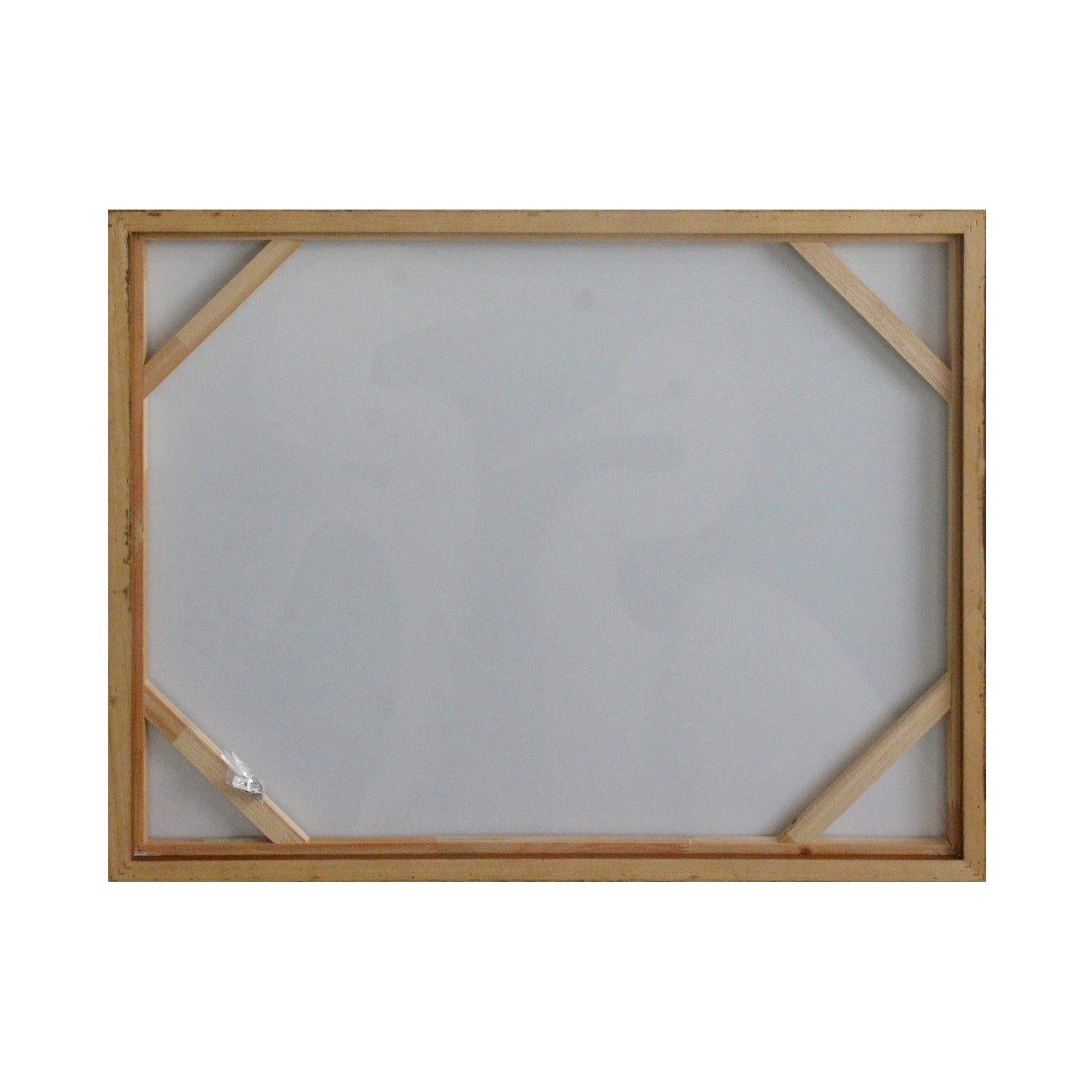 Gruidae Framed Painting