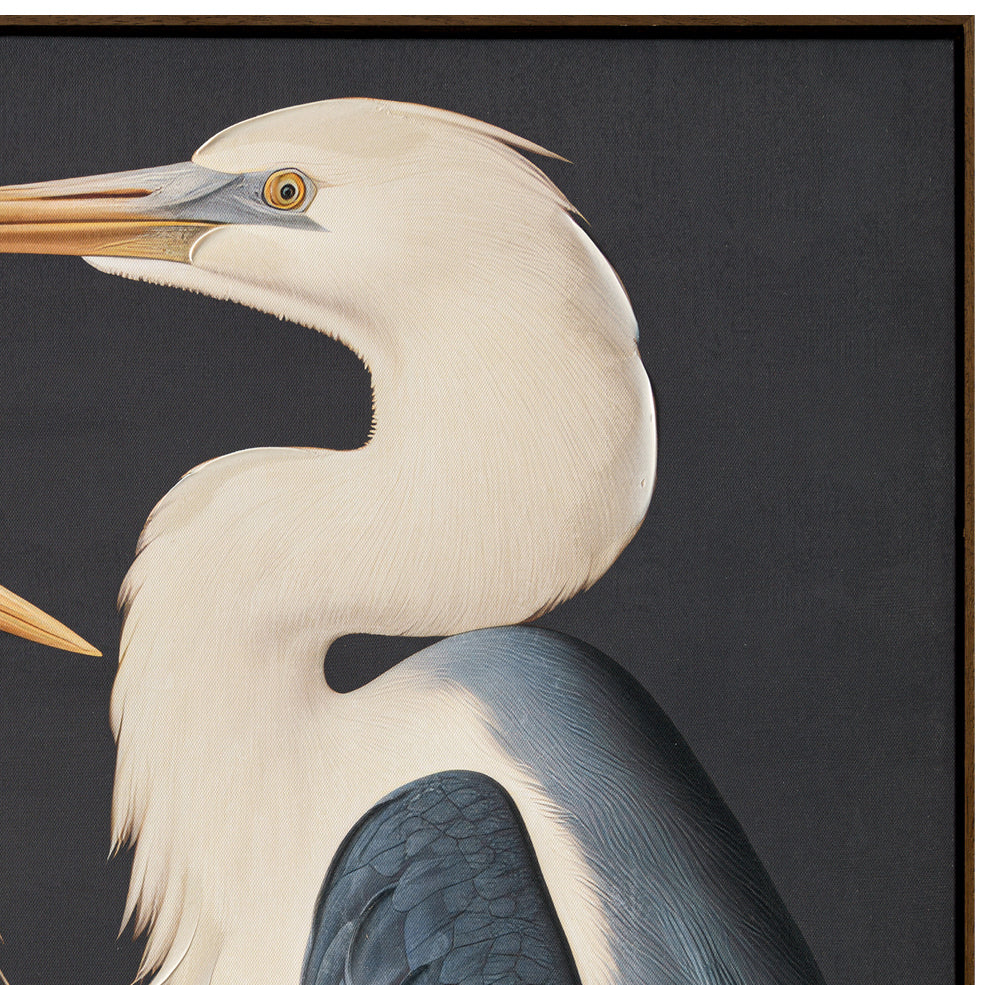 Gruidae Framed Painting