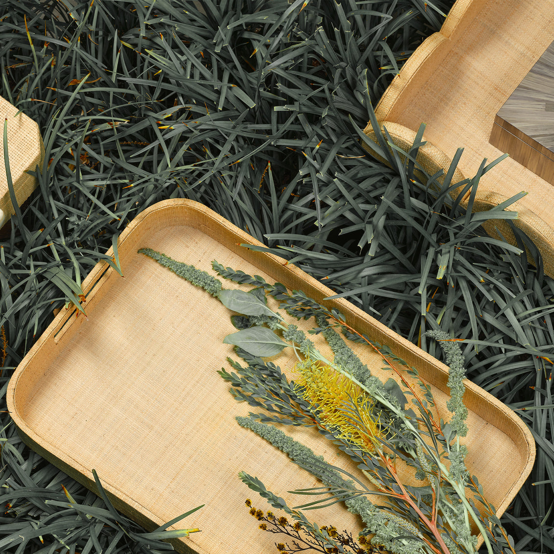 Wooden tray with dried plants on a dark green leafy background