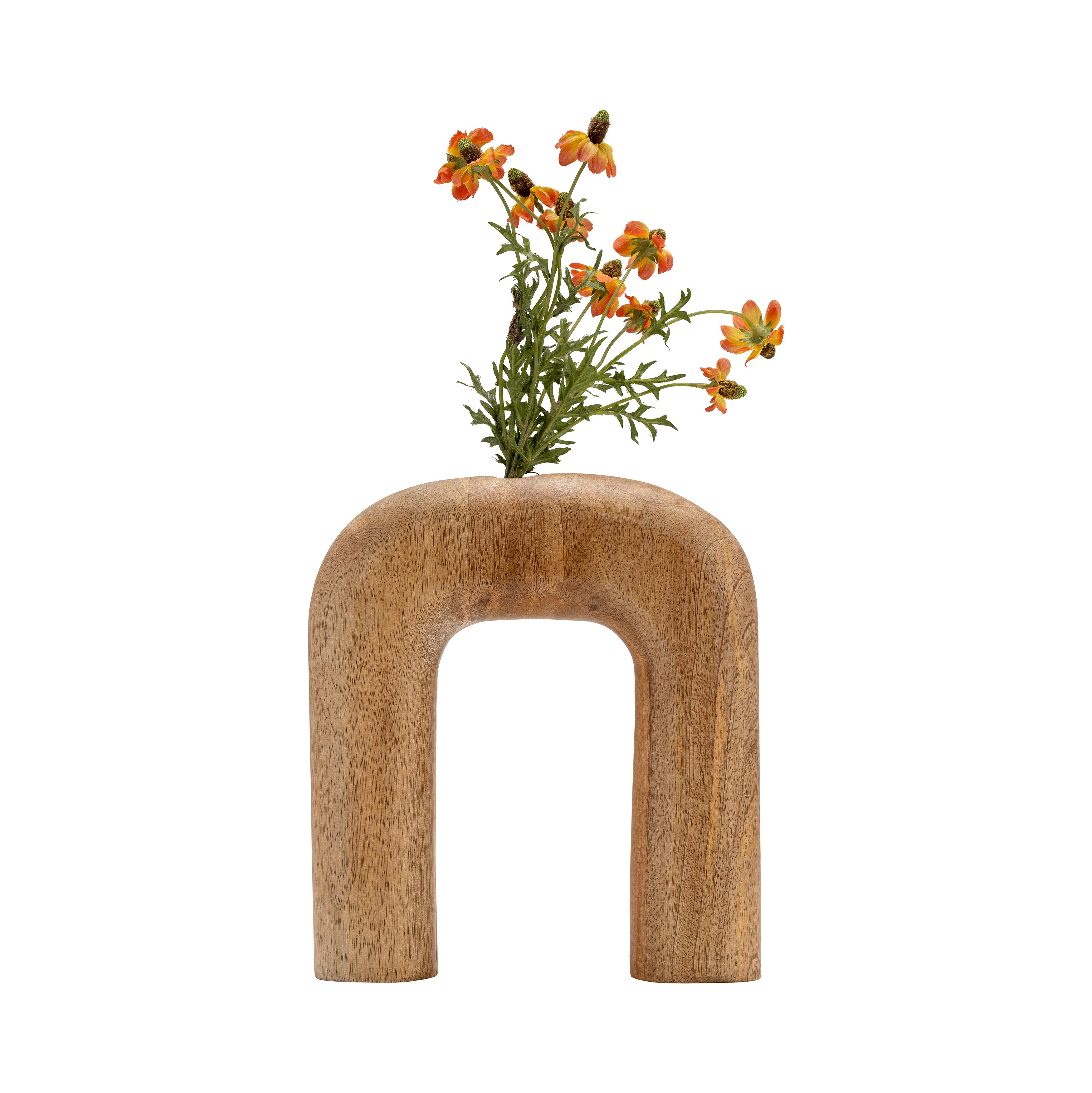 Wooden U-shaped vase with a small plant on a white background
