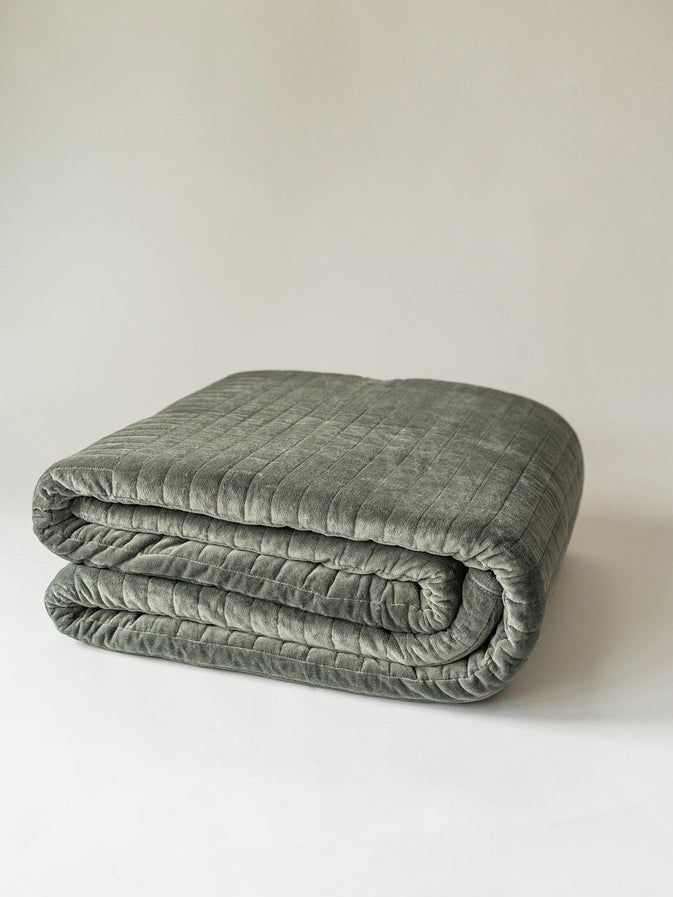 #color_Dark Green Velvet