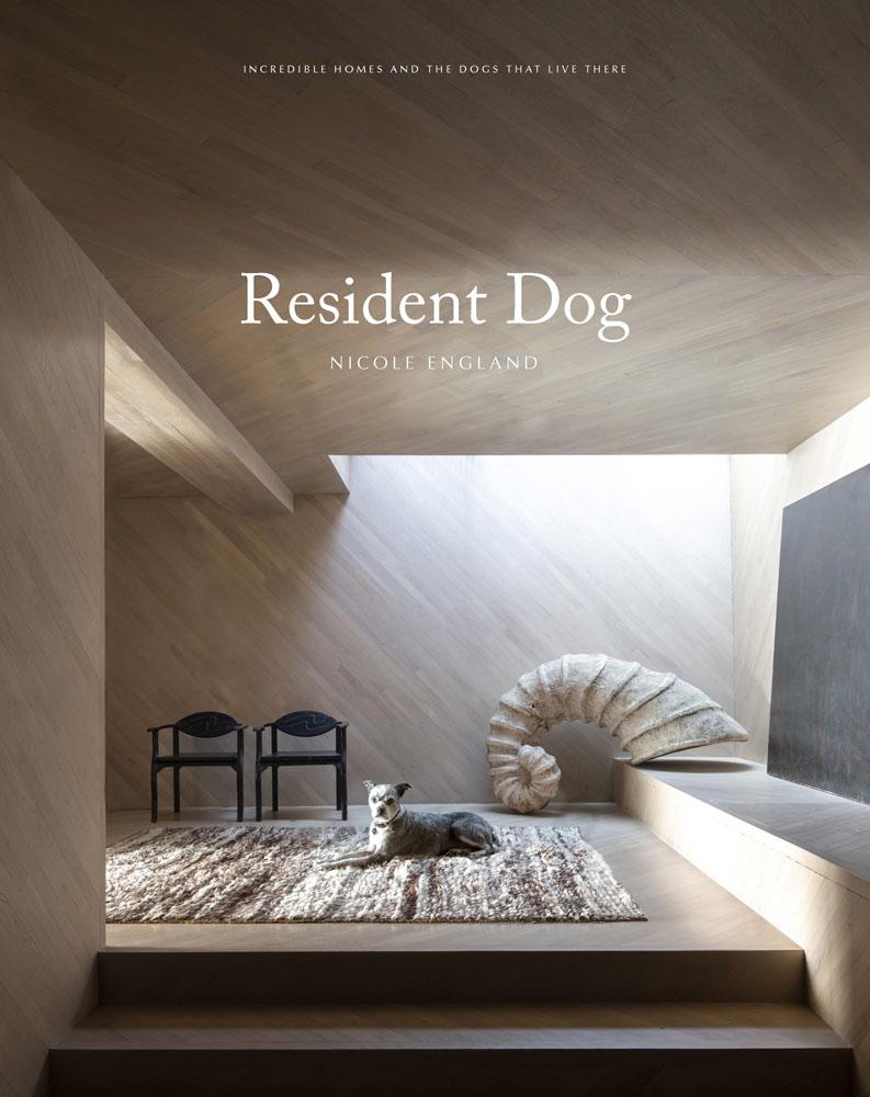 Book cover of 'Resident Dog' by Nicole Ingeland with a dog lying on a rug in a modern interior setting.