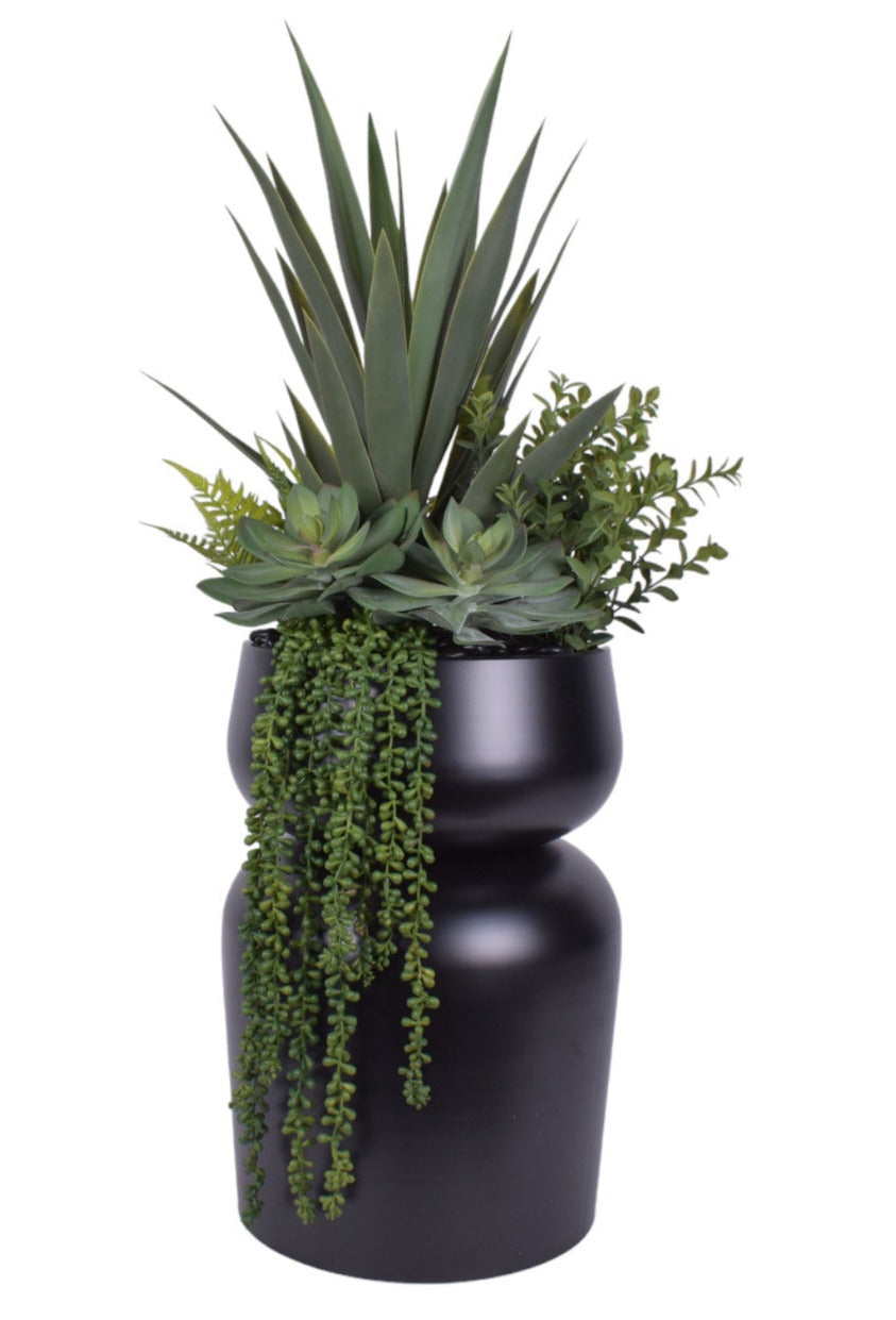 Yucca & Succulent Arrangement in Zoe Metal Planter