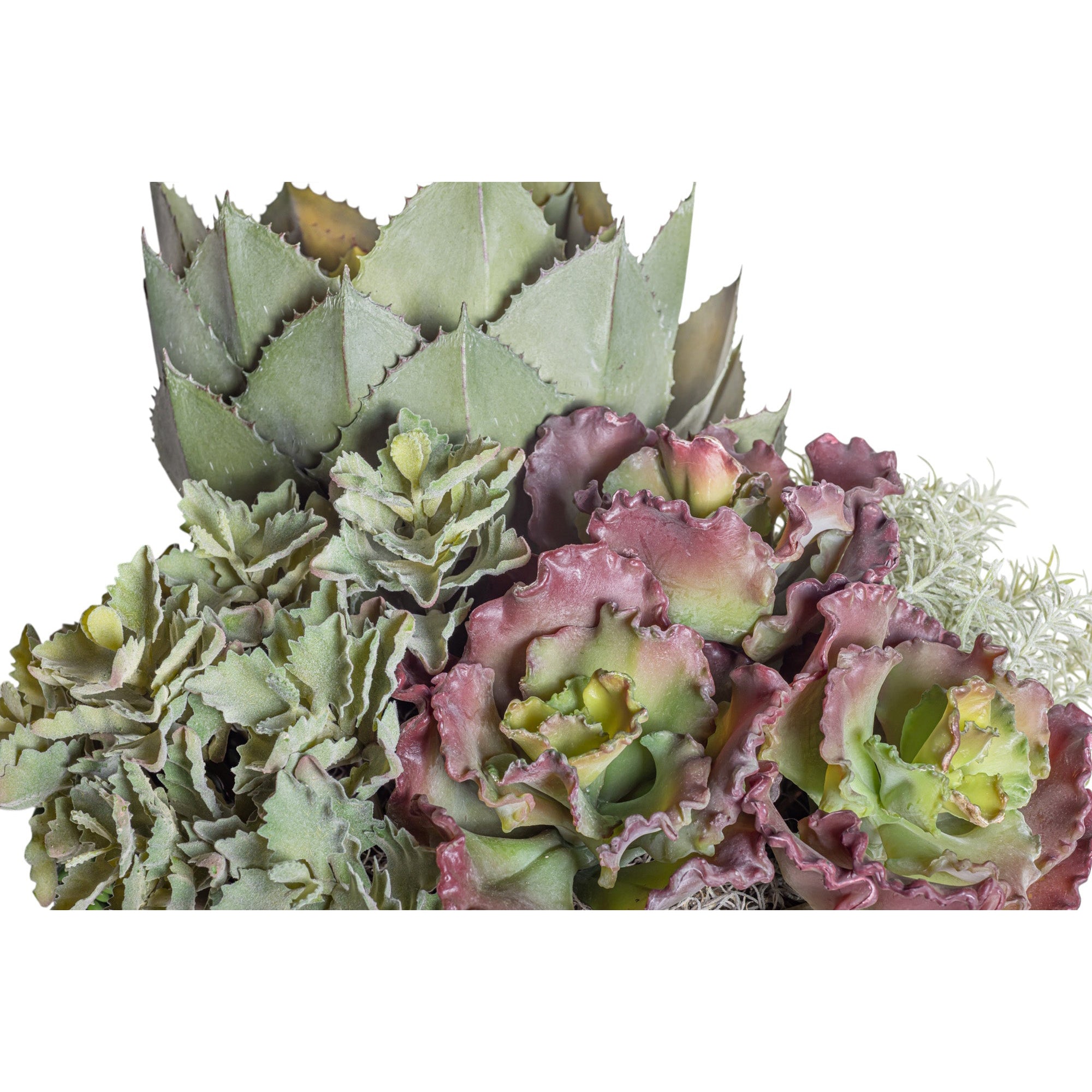 Mixed Succulent Arrangement in 15" Verona Planter