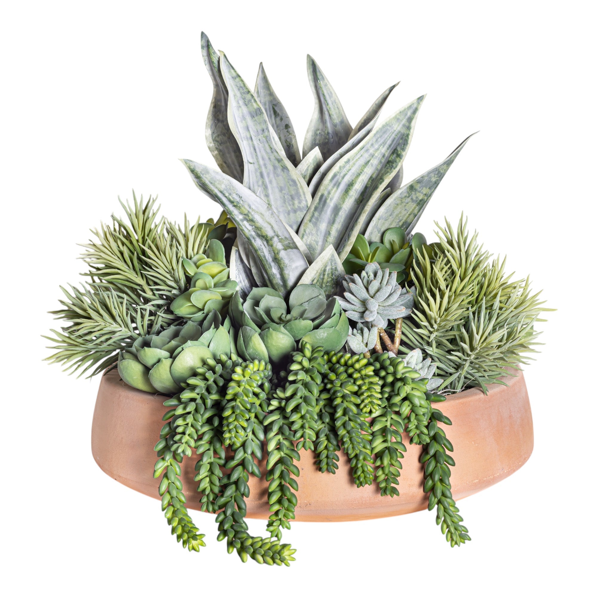Mixed Succulent Arrangement in Terracotta Mack Bowl