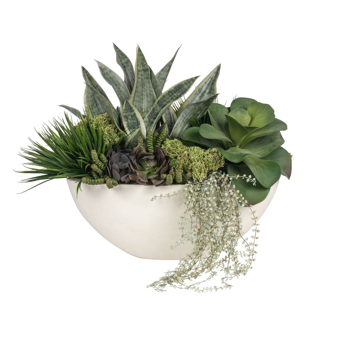 Snake Plant and Succulent Arrangement in Large Oval Bowl