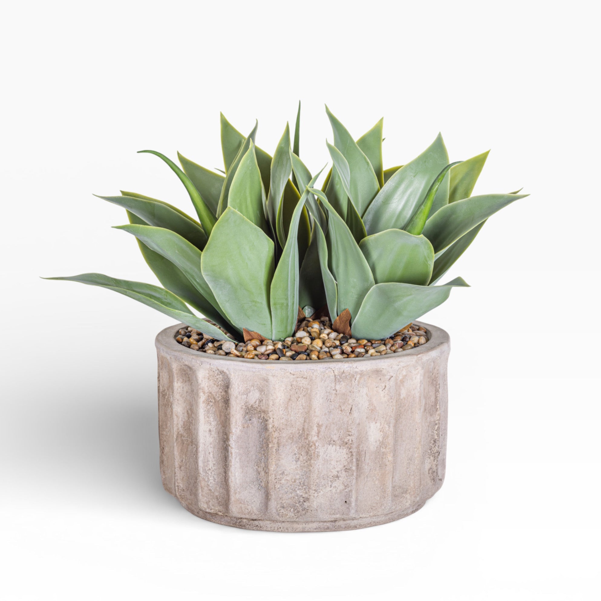 Agave Arrangement in 15" Verona Pot