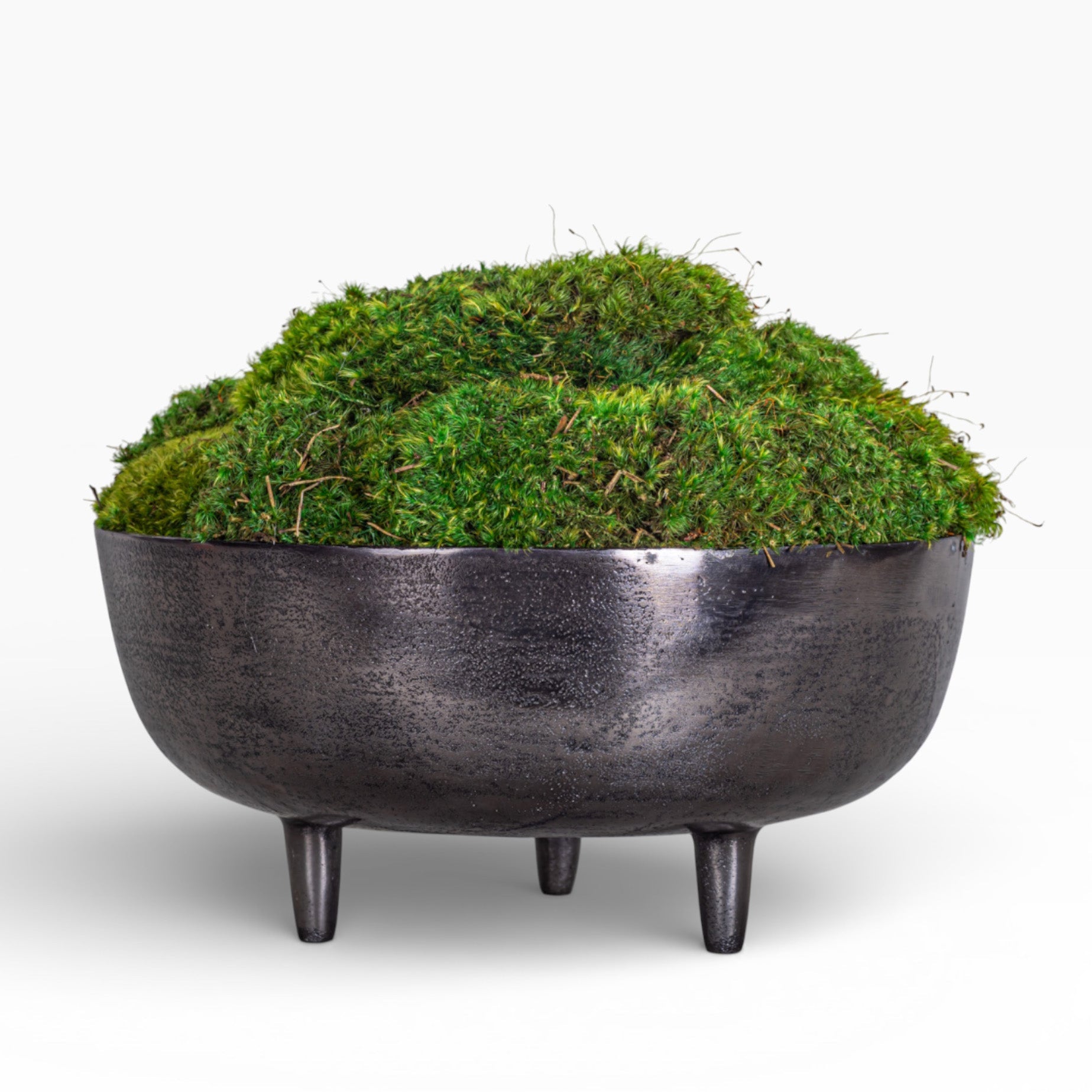 Mood Moss Arrangement in 13" Ryder Bowl