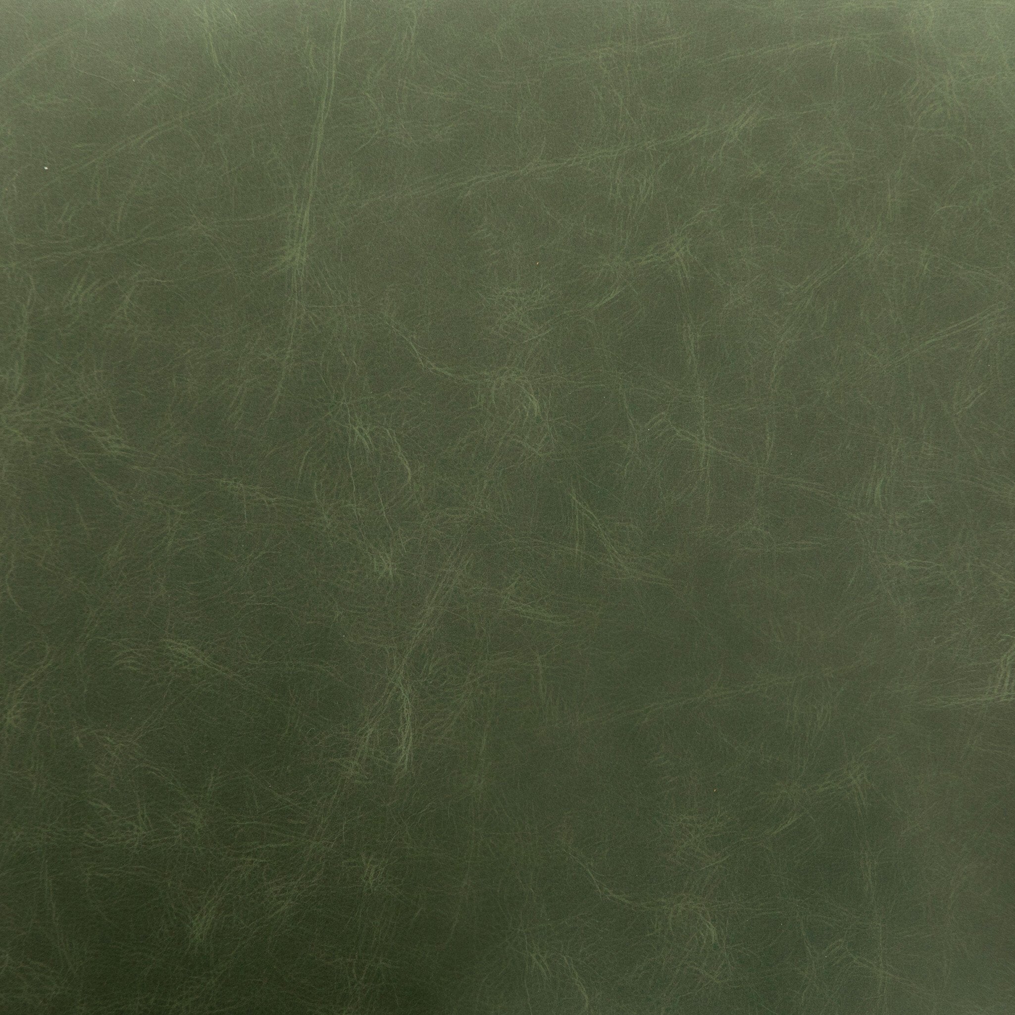 #color_Eden Sage