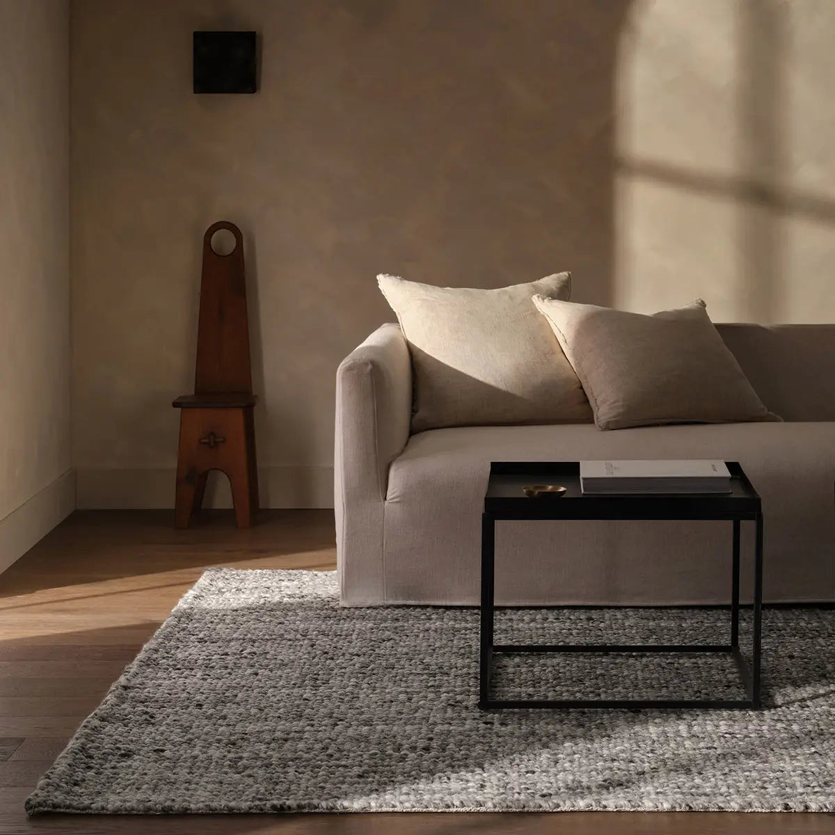Modern living room with a gray sofa, coffee table, and rug.
