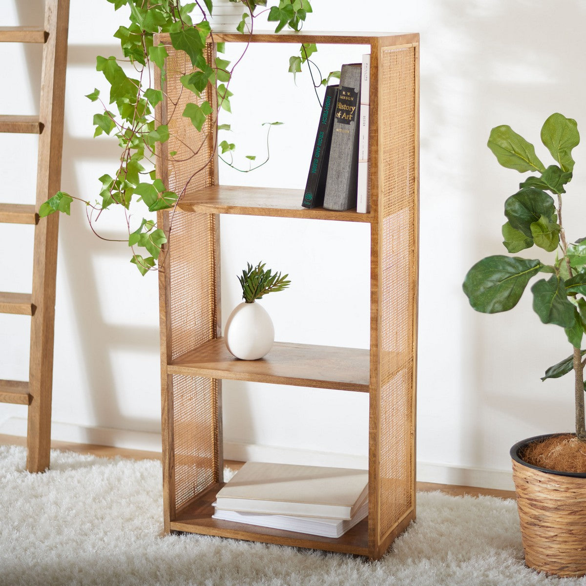 Wooden bookshelf with books and a plant in a room with a white wall and a ladder.
