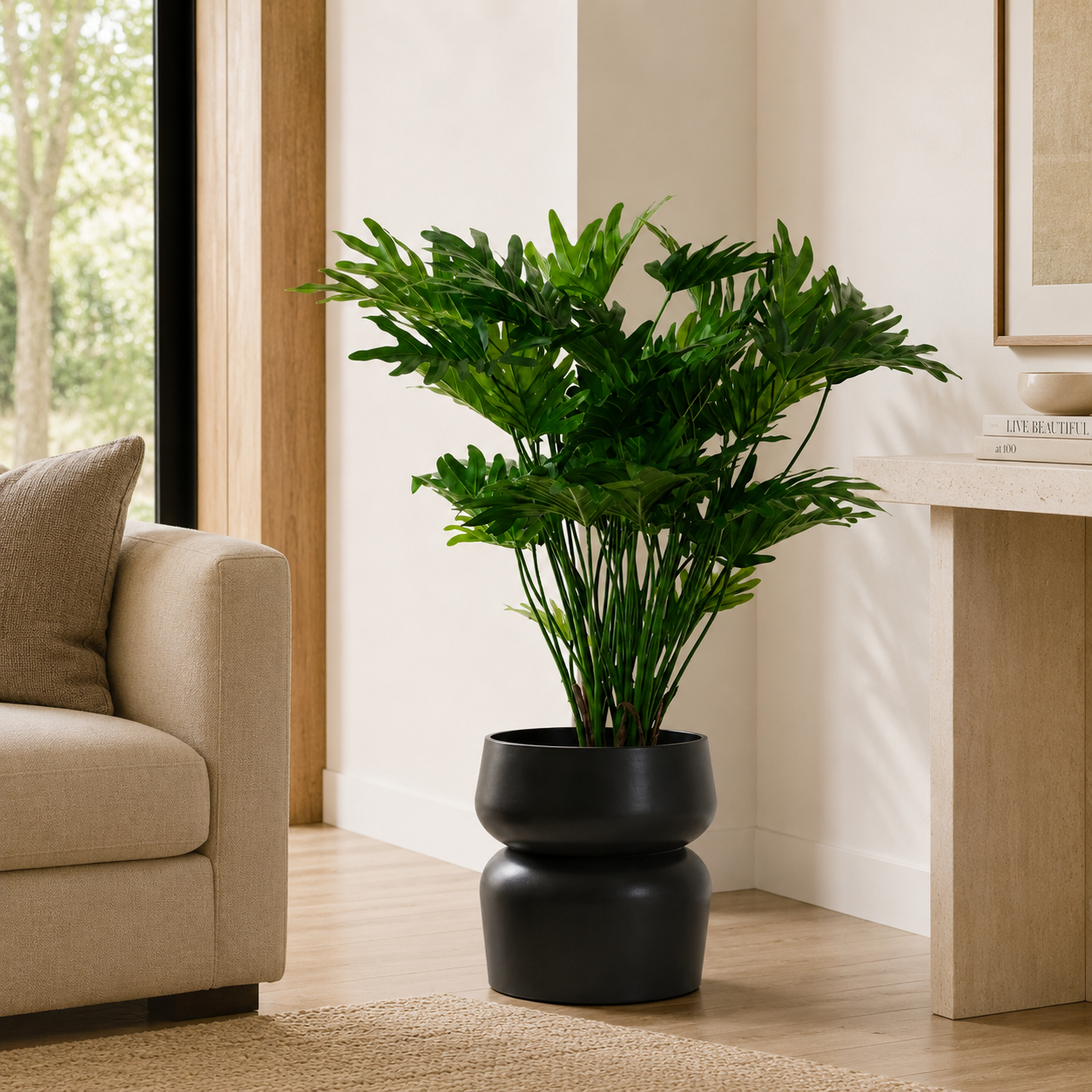 34" Philodendron Xanadu