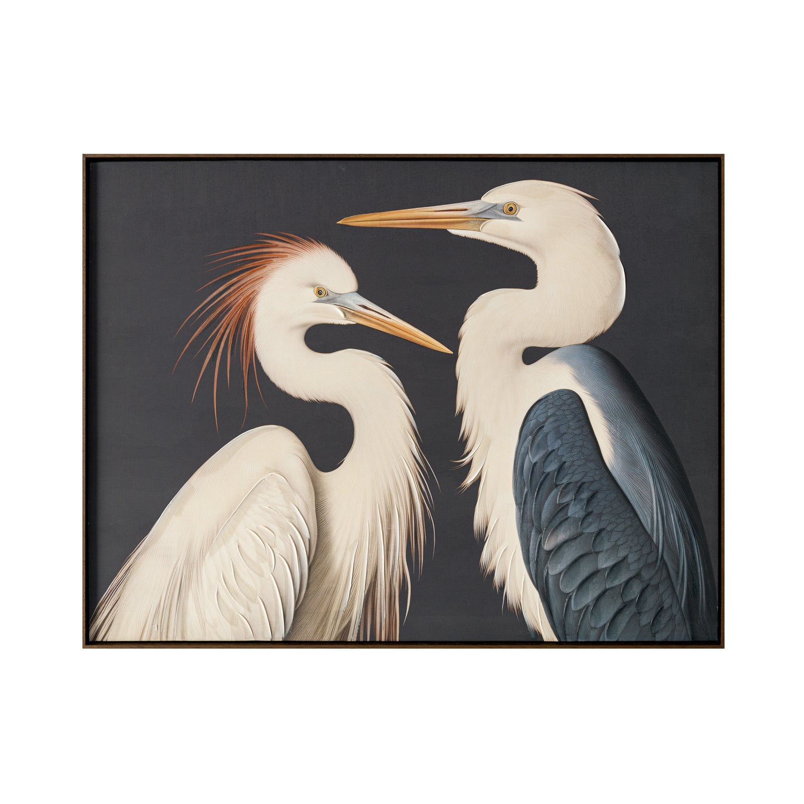 Gruidae Framed Painting