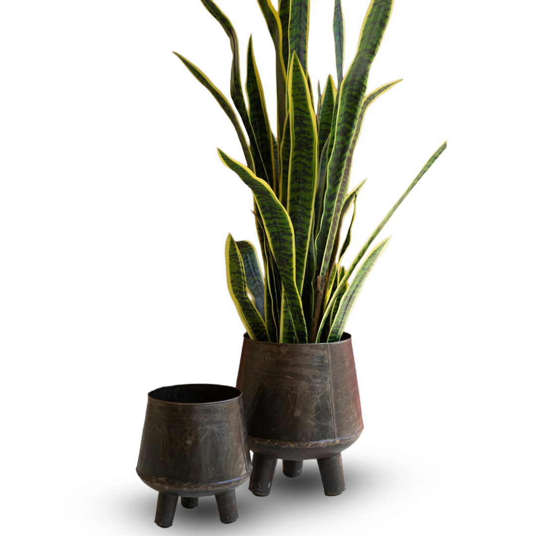 Set of 2 Hand-Hammered Iron Planters with Legs
