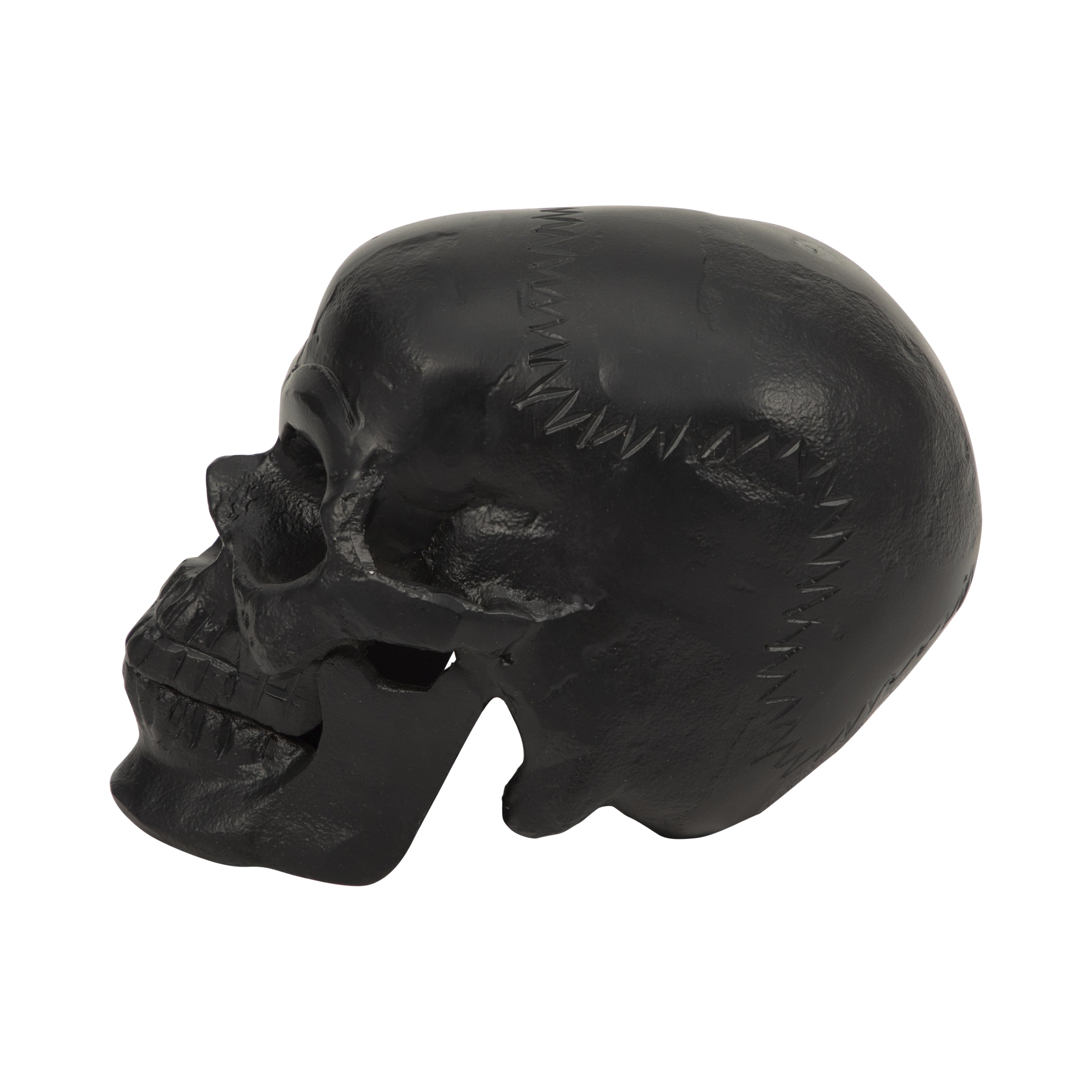 Seloria Skull