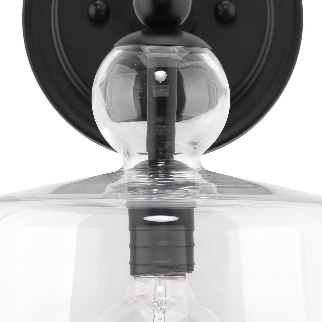 Close-up of a clear glass light fixture with black metal accents on a white background