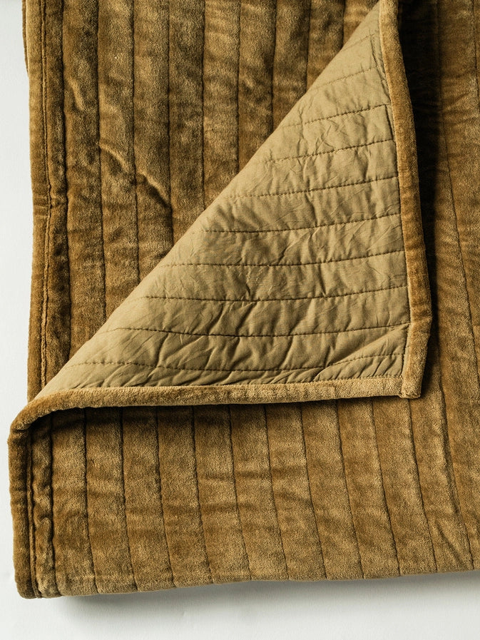 #color_Dark Brown Velvet