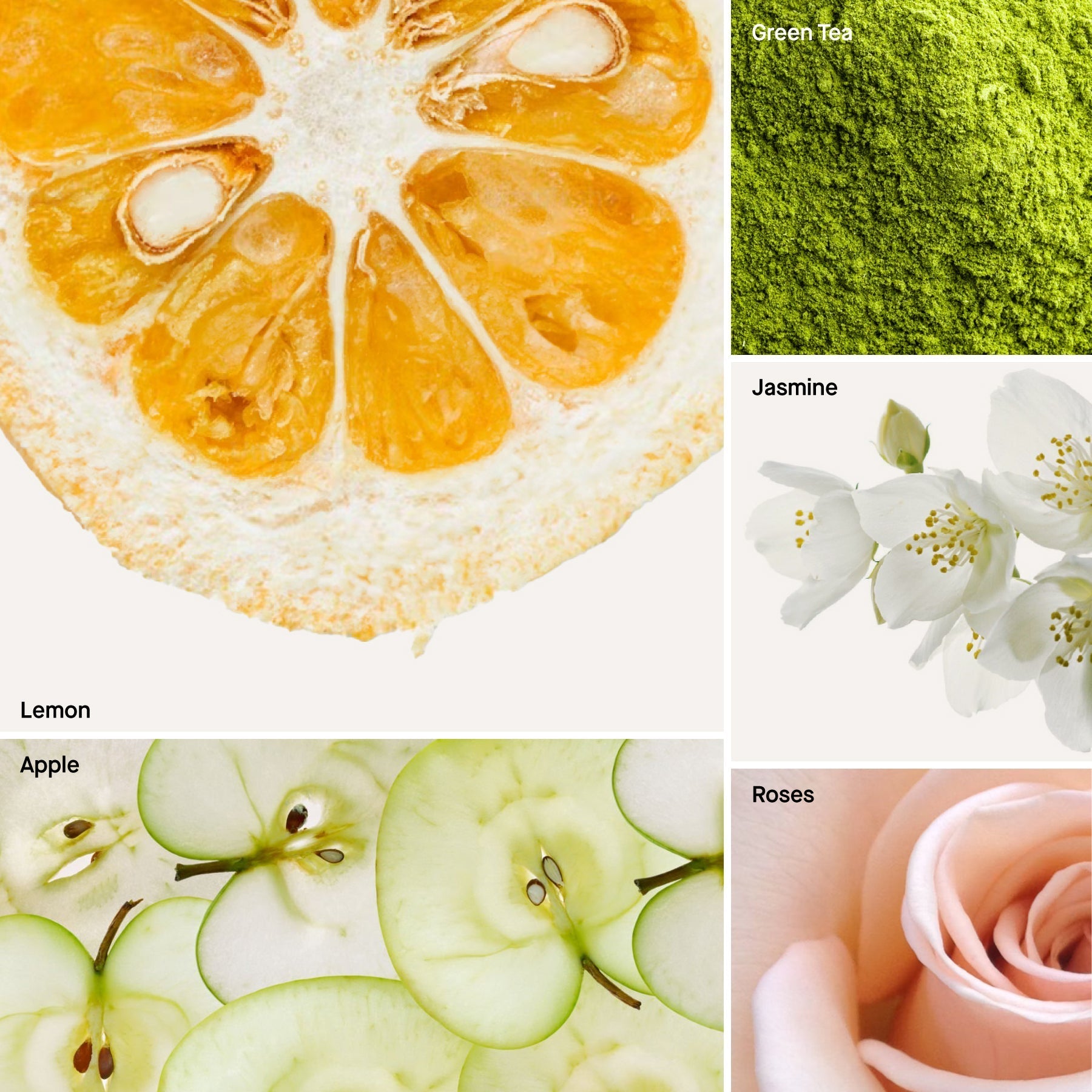 Lemongrass Green Tea - Reed Diffuser