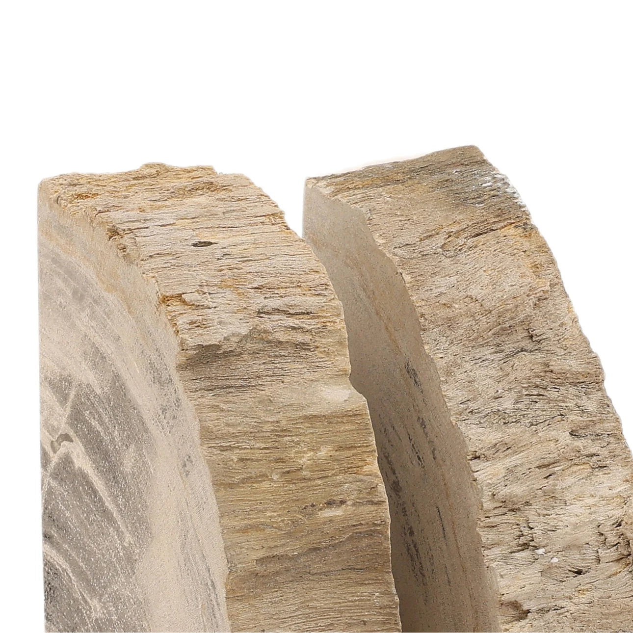 Close-up of a Petrified Wood blocks on a white background